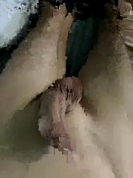 Snapshot of uuuuuyttttcf chatting on October 12, 12:48 am uuuuuyttttcf online show from October 12, 12:48 am