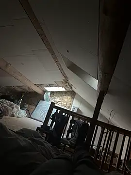 carapace31 online show from February 26, 3:57 pm