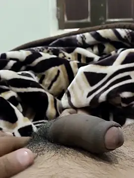 Bull54321 online show from February 14, 6:52 am