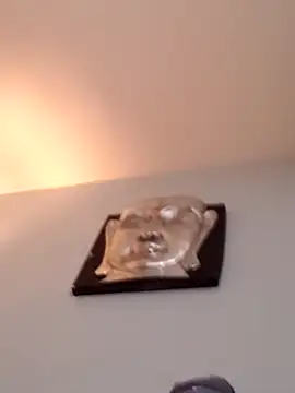 djcarey369159 online show from April 5, 9:11 pm