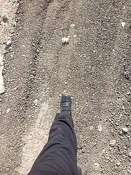 armndo4 online show from October 24, 3:58 pm