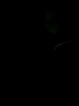 armndo4 online show from October 6, 6:29 am