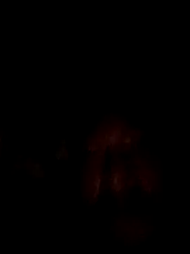 lilldickyyy online show from November 26, 6:55 pm