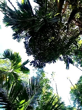 Johlrd online show from November 19, 5:18 am