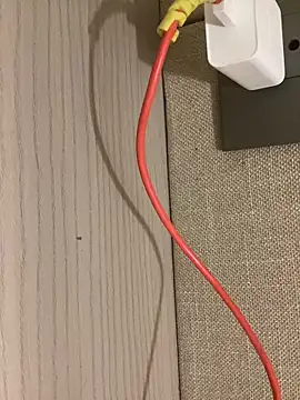 Blackdawg01 online show from December 21, 12:35 pm