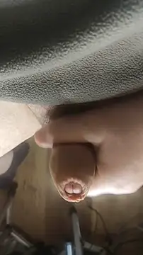 TobyDick13 online show from October 29, 5:32 am