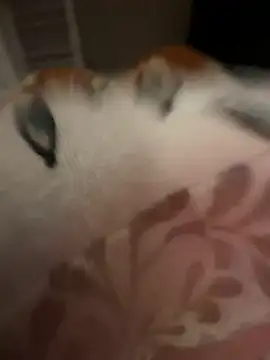 rockey118367 online show from October 19, 9:45 am