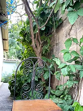 Wolf BIG4 online show from October 14, 6:04 pm