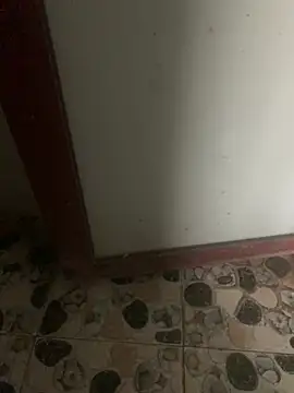 Thichphunudamdang online show from February 2, 10:14 am