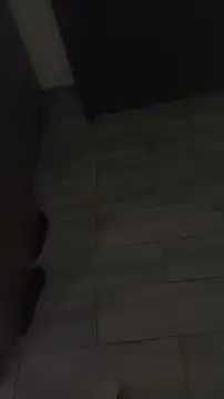 ChicoDex3 online show from November 4, 4:19 pm