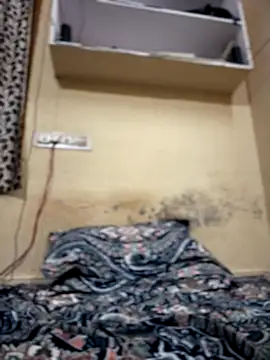 hahaha1319 online show from December 19, 8:28 pm