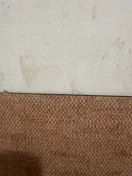 LVarjun online show from November 14, 5:43 am