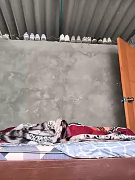 lamejorpene online show from November 2, 11:36 am