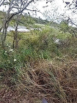 slaveman4you online show from September 18, 12:40 pm