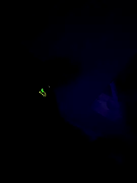 B3toBaby online show from November 25, 10:28 am