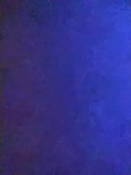 Jeremycle online show from December 4, 10:33 am