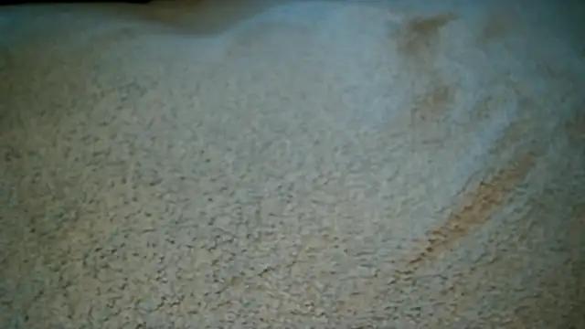 Snapshot of dick_playy chatting on September 26, 3:21 pm dick playy online show from September 26, 3:21 pm