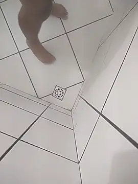 Novin23cms online show from September 26, 11:46 pm