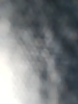 chinoaf online show from December 18, 10:00 am