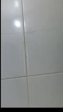 Sza 0515 online show from February 3, 10:09 am