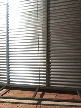 elpeluchenegroxxx3 online show from February 13, 3:13 am