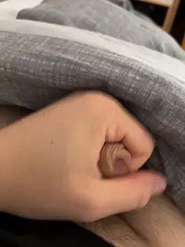 sebo801 online show from September 26, 1:20 pm