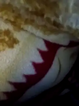 alone boy802 online show from December 19, 10:17 pm