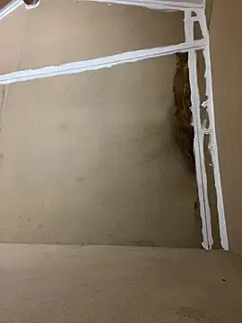 Roccobis online show from January 14, 4:00 pm