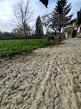 afhjjnvc online show from November 17, 10:18 am