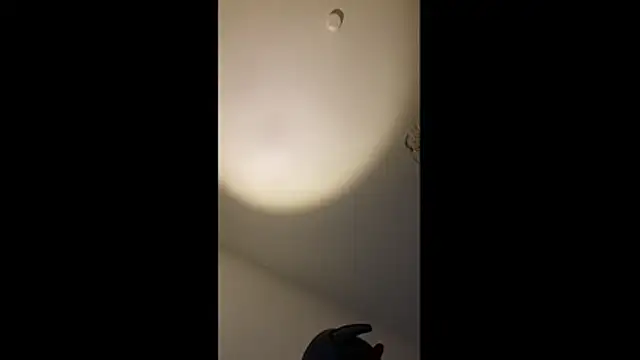 MolleDolle online show from February 7, 6:35 pm