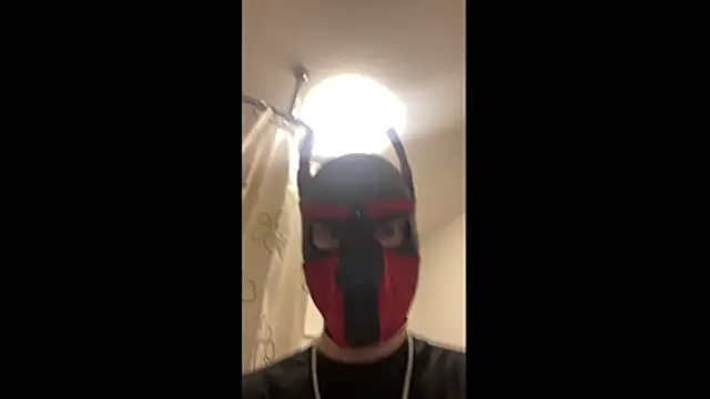 MolleDolle online show from March 7, 12:25 pm