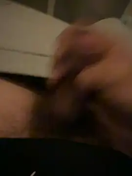 Theanimals online show from November 22, 12:10 am