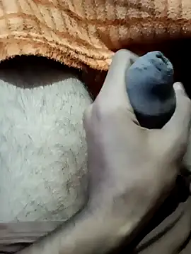 siddBus online show from November 1, 5:39 pm