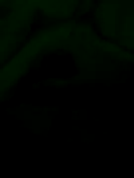 smallcock10cm online show from November 29, 11:01 am