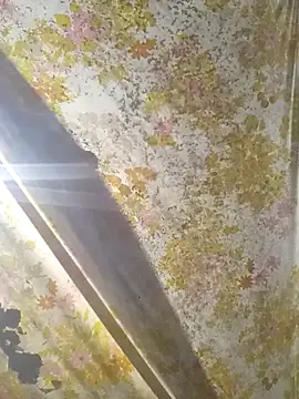 Cogelonregio online show from March 1, 10:59 am