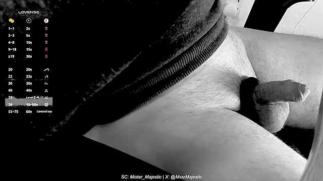 Mister Majestic online show from November 19, 3:34 pm