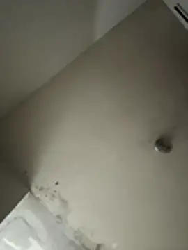 wellingtonmds online show from November 15, 7:32 am