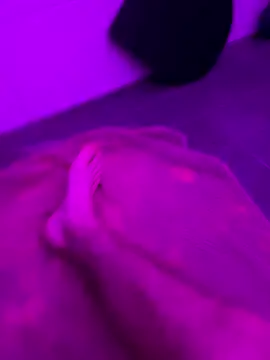 dominiclukas08 online show from October 24, 12:24 am