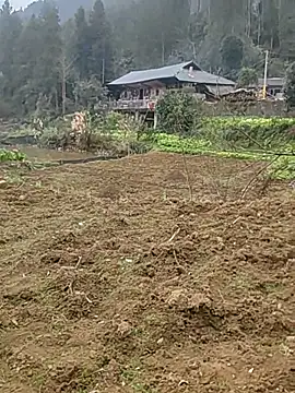 tian7788 online show from February 17, 2:54 am