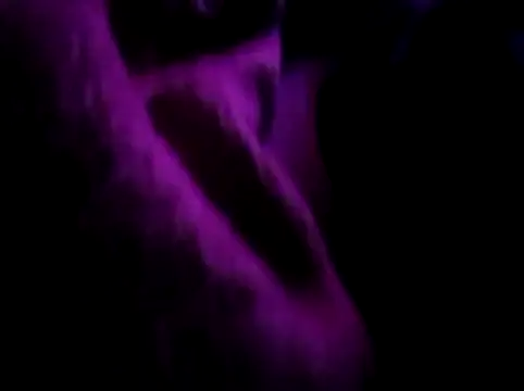 akram306 online show from November 14, 11:28 pm