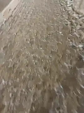 miguel910921 online show from January 12, 4:33 pm