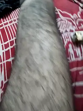 hyderabad single online show from November 29, 11:56 am