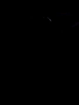 john12-931 online show from November 21, 6:56 am