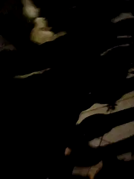 azael 51 online show from January 8, 5:12 am