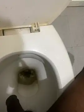 calibrow online show from January 17, 9:56 am