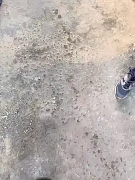 Playboy pune  online show from November 19, 10:04 am