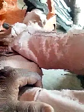 Roy   121 online show from March 26, 8:51 am