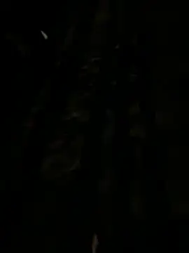 kingsize6665 online show from November 24, 2:18 pm