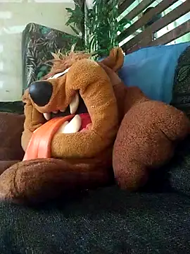 Pirulaibe23 online show from December 18, 7:21 pm