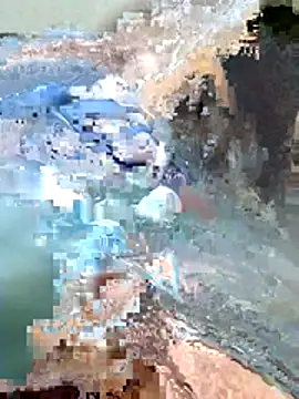 Harry254238 online show from January 15, 5:37 pm